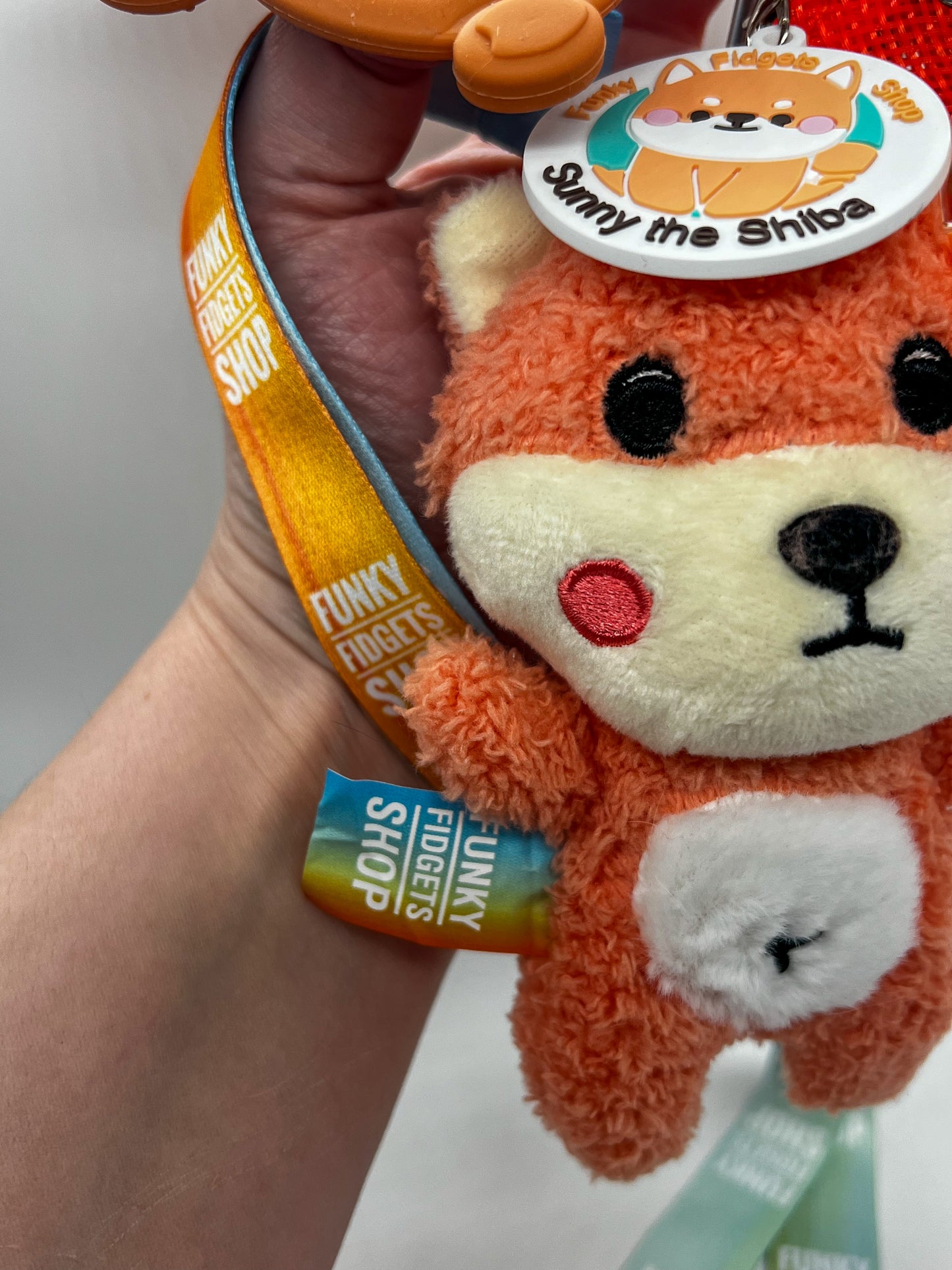 Sensory Lanyards