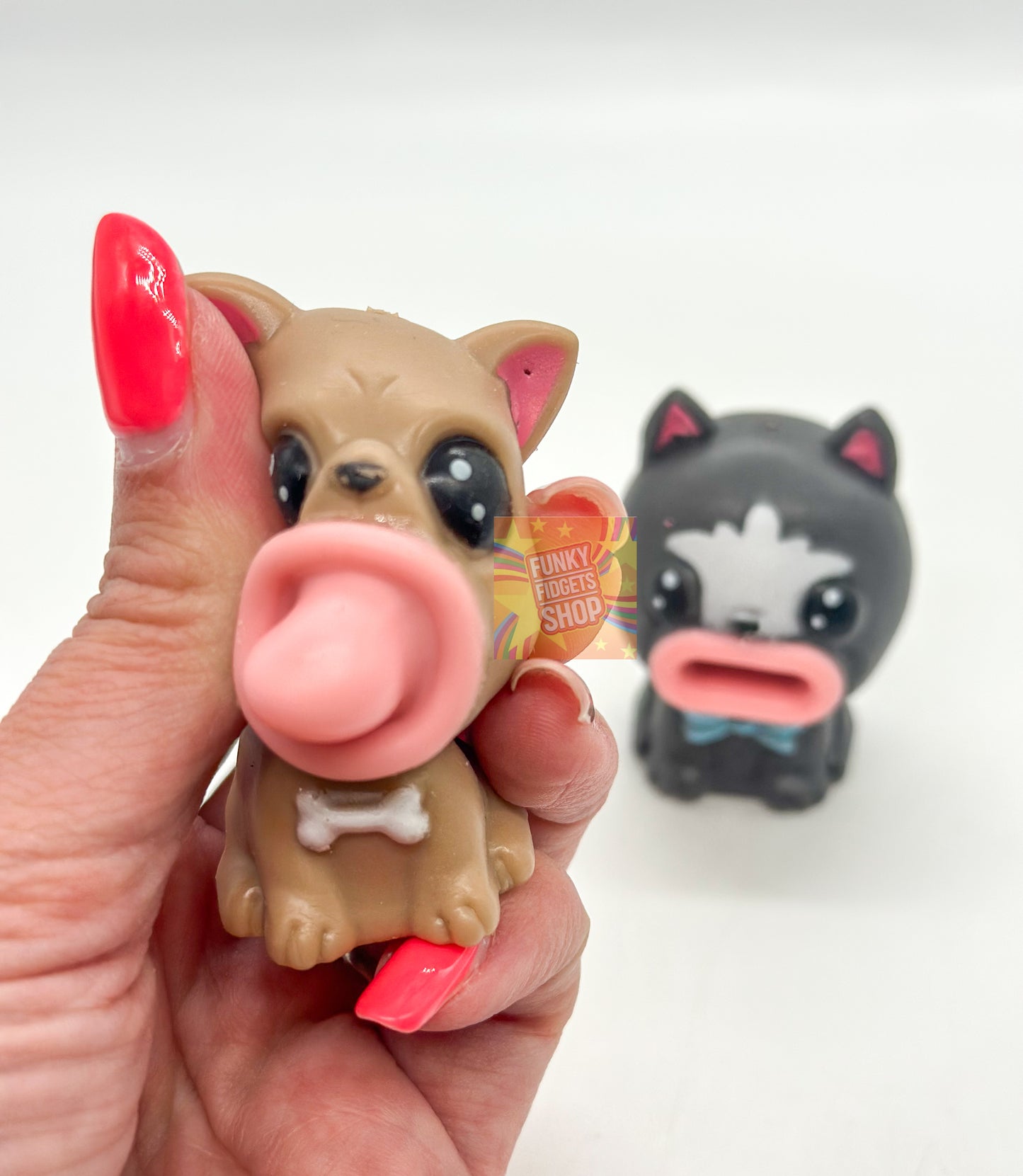 Pop Pup