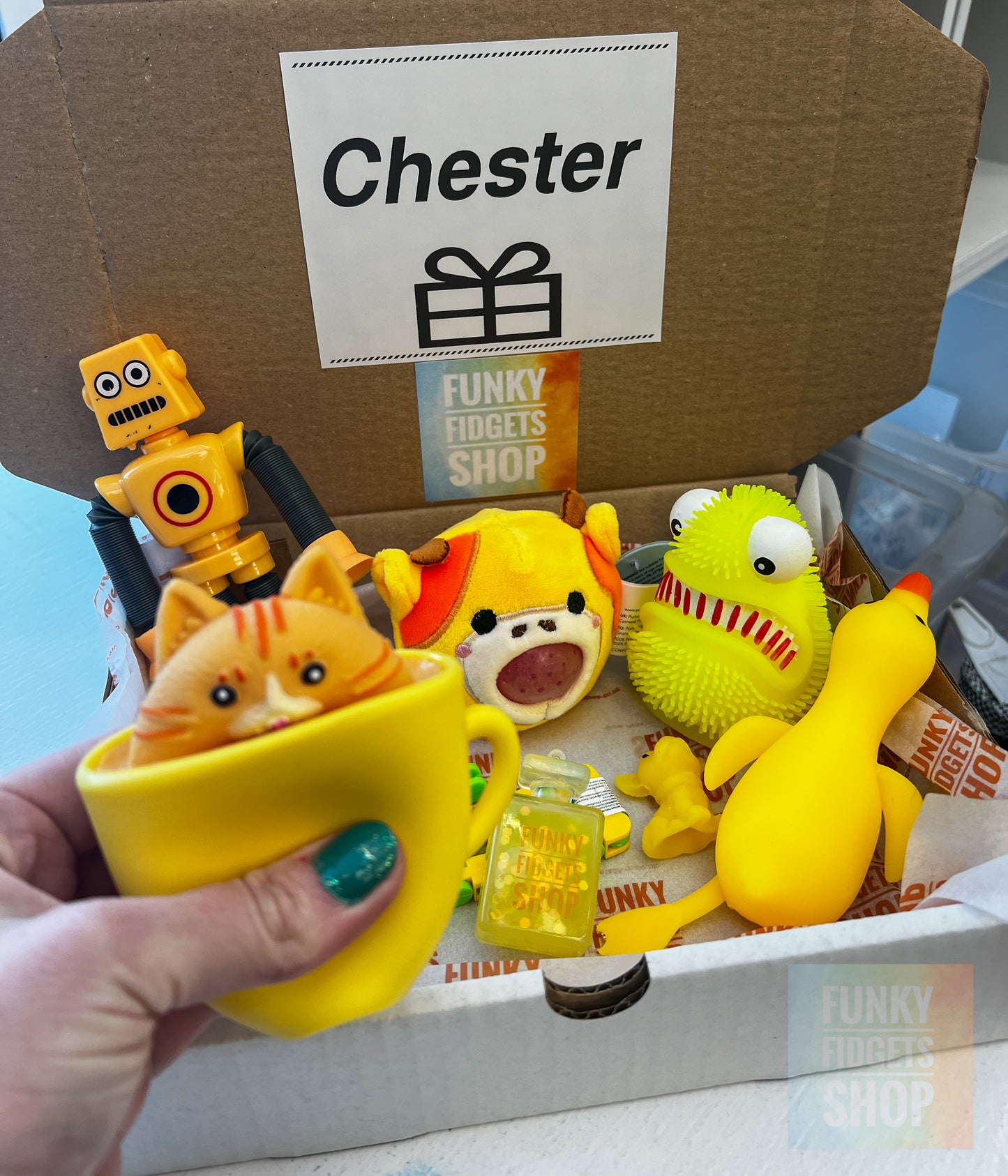Surprise Mystery box