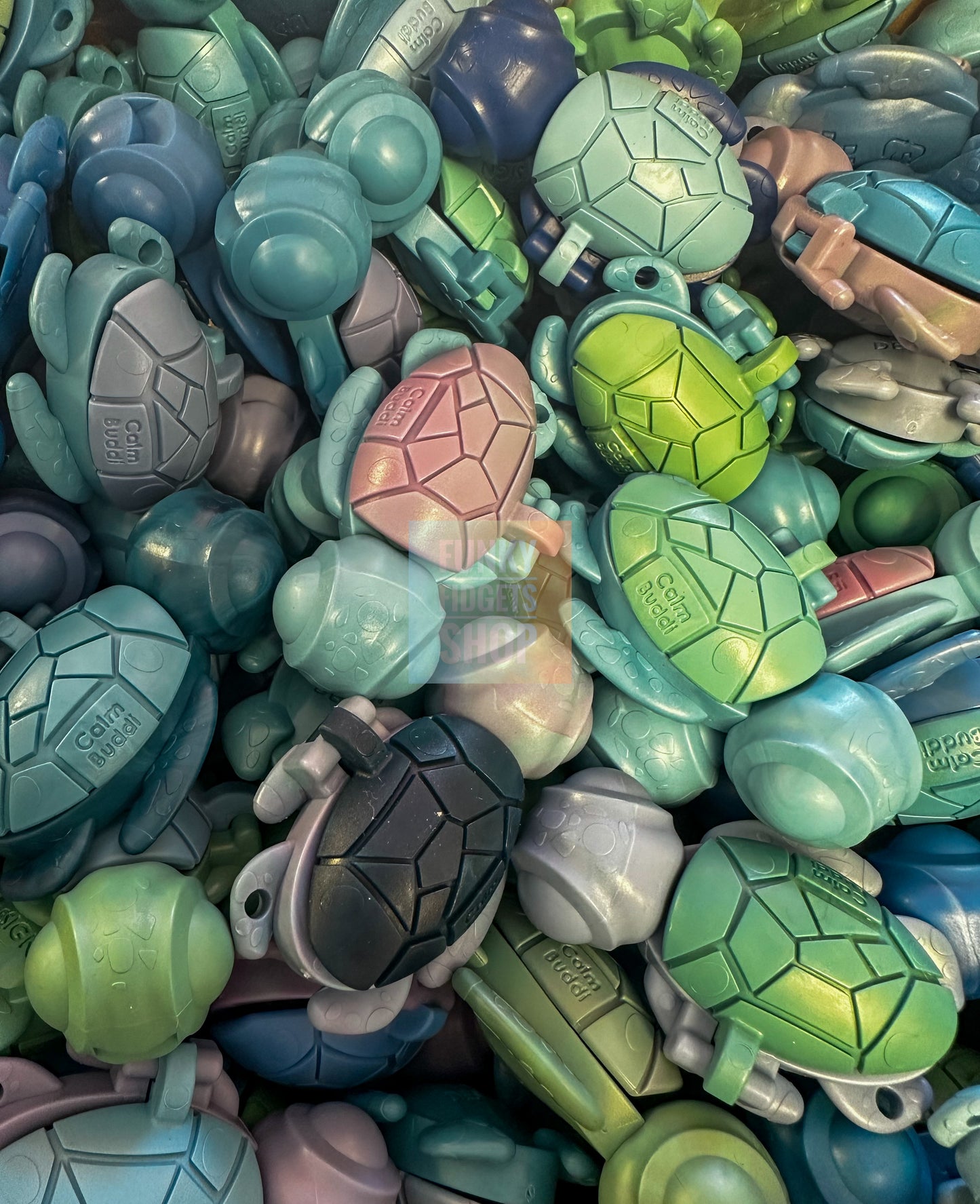 Calm Buddi Turtle