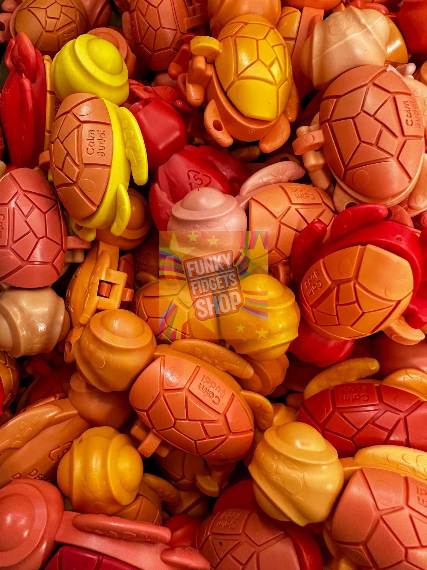 Calm Buddi Turtle