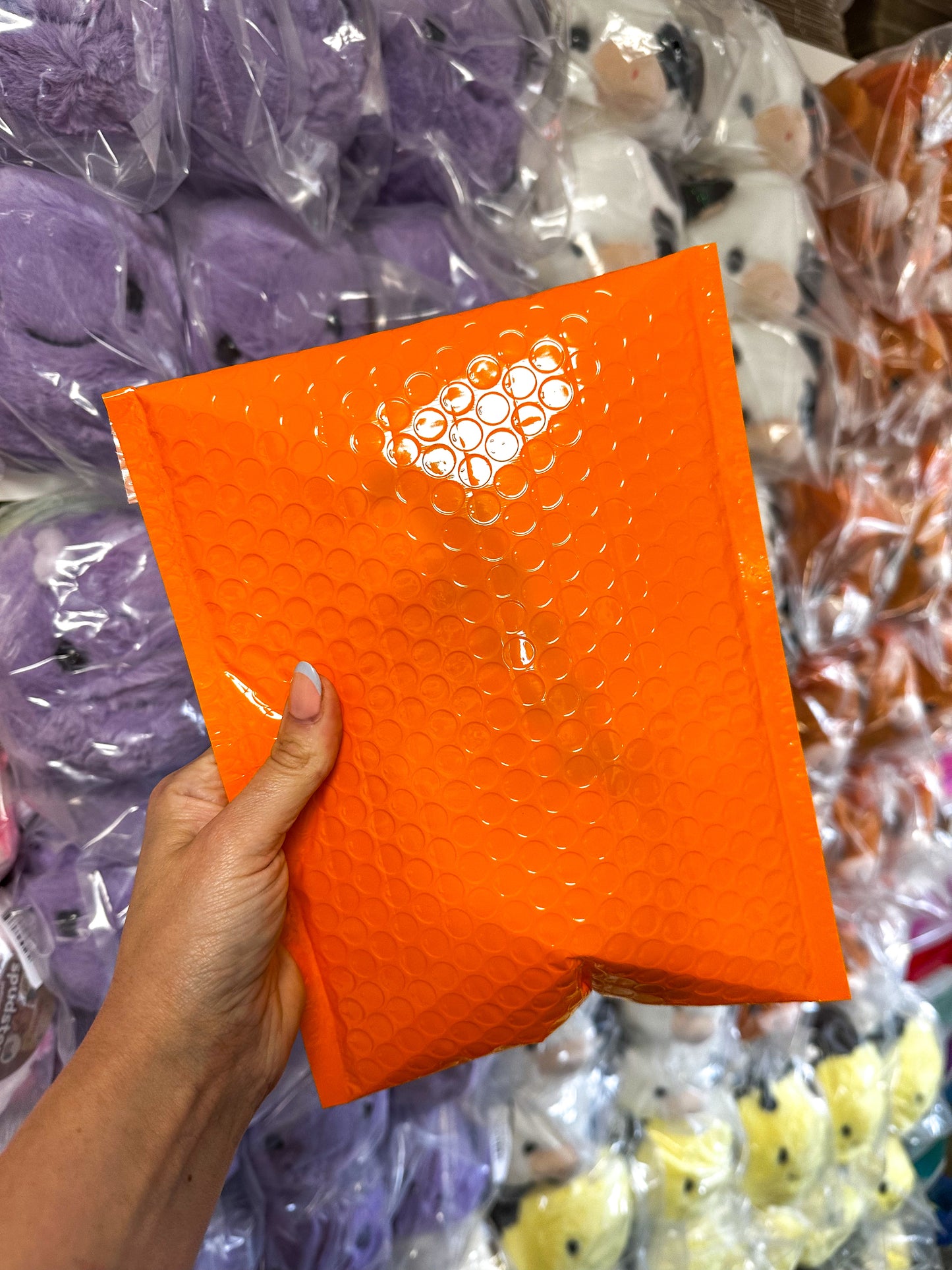 Toy Mystery bag