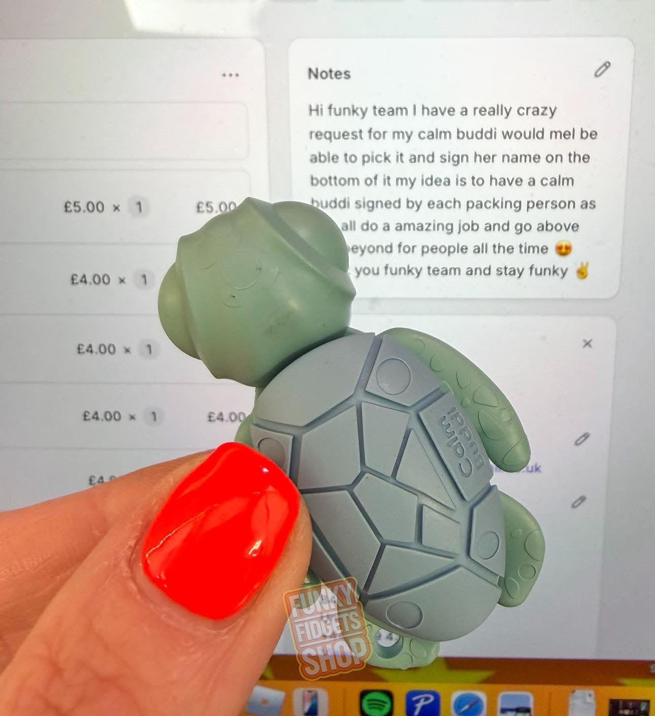 Calm Buddi Turtle