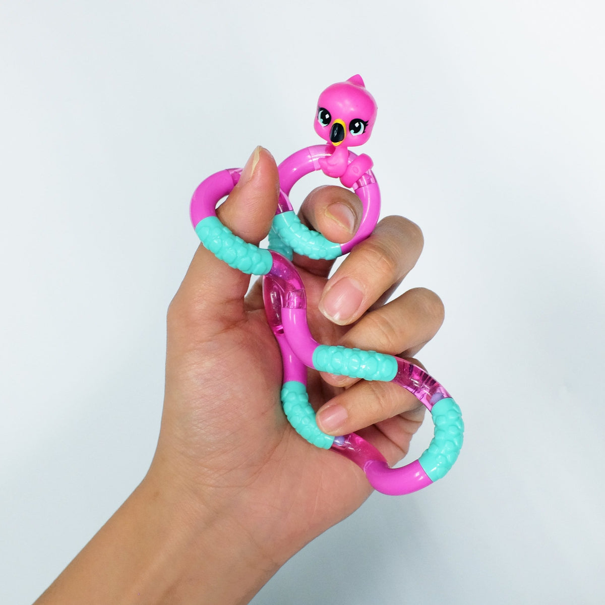 Tangle - Pets