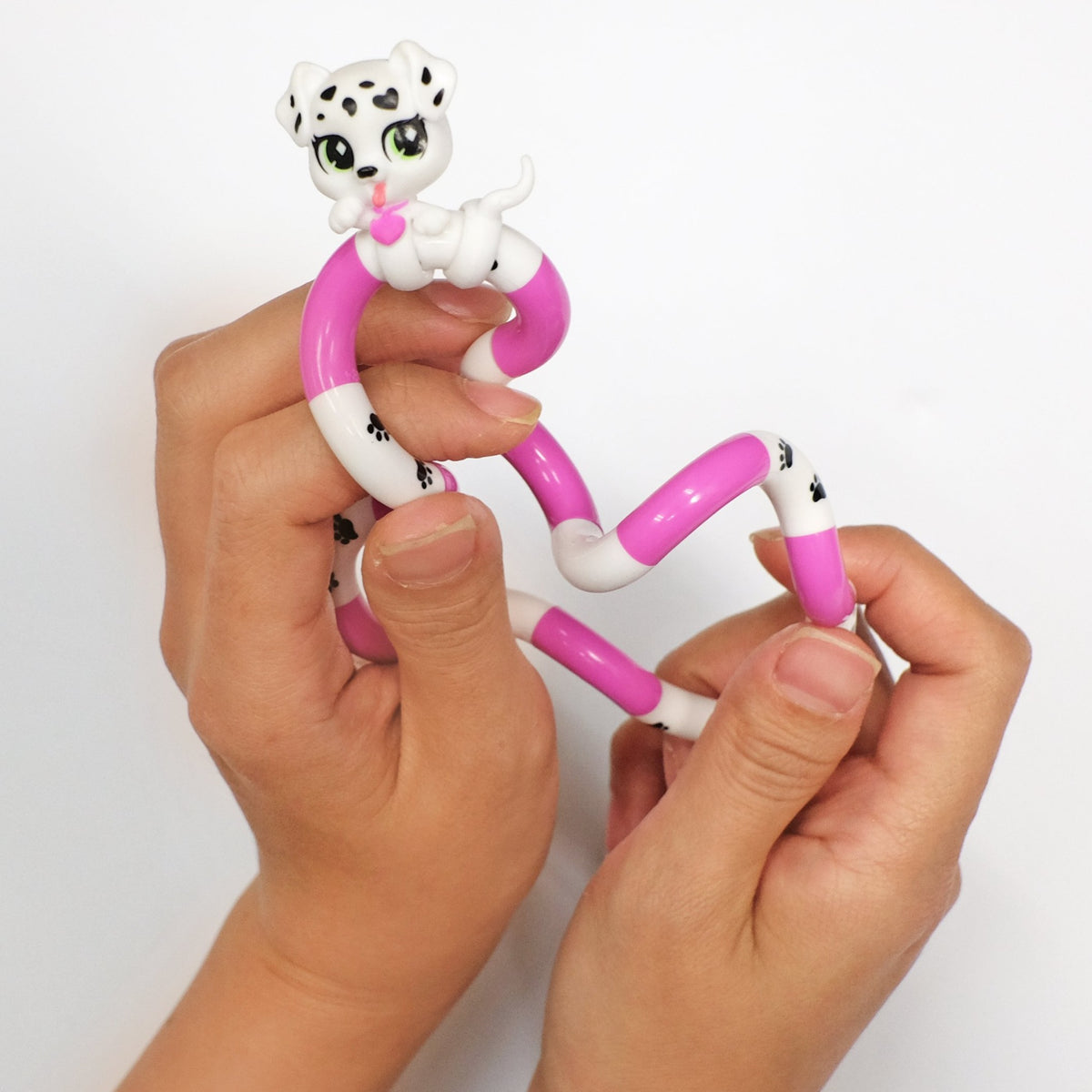 Tangle - Pets
