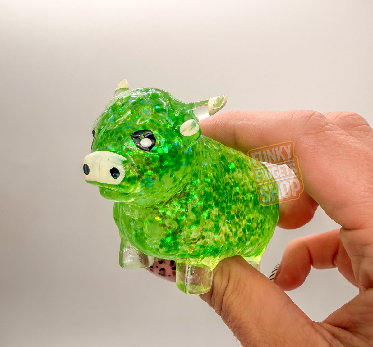 Sugar Highland Cow