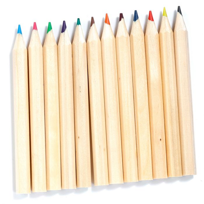 Zoo Pencil Pot with 12 Colouring Pencils