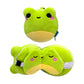 2in1 travel pillow & eye mask