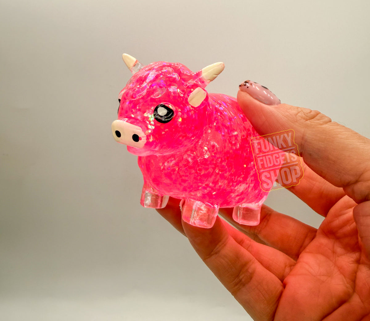Sugar Highland Cow