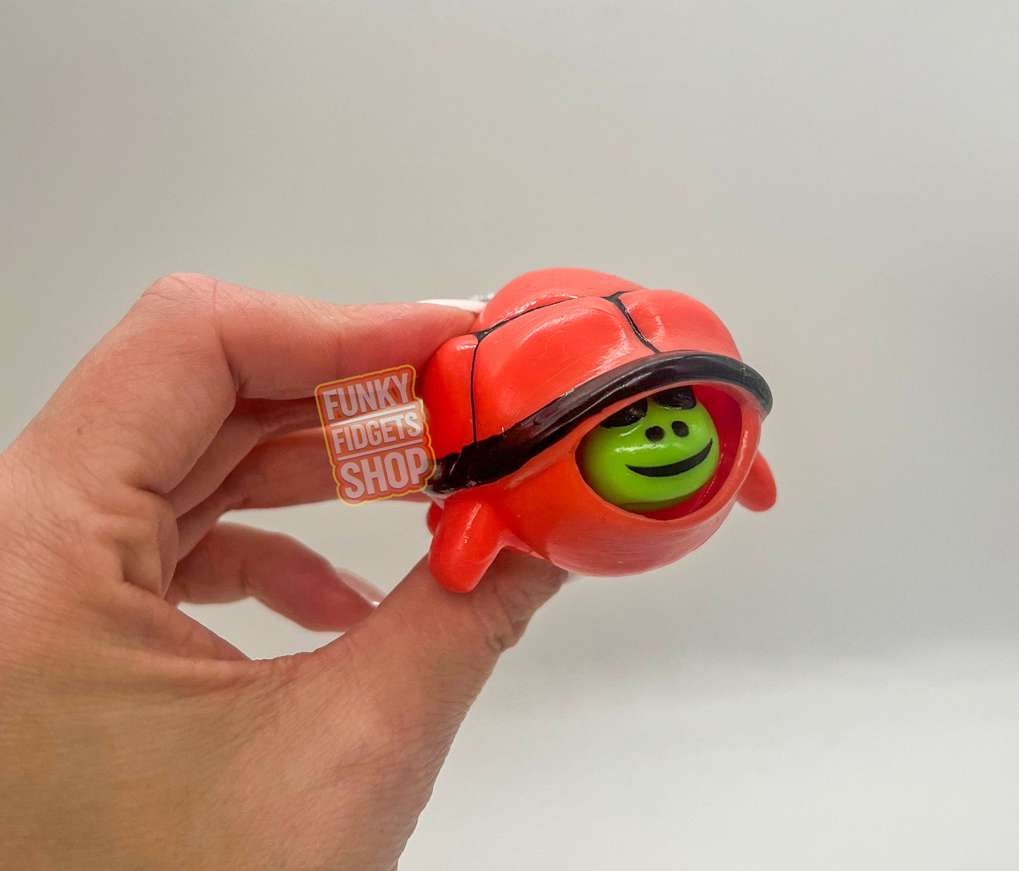 Pop out Turtle