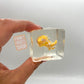 Squeezes Ice Cube Squishies