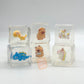 Squeezes Ice Cube Squishies