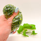 Frog & Spawn Ball Duo