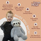 Weighted Sloth Teddy - Sleeping aid
