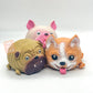 Dog squeezy