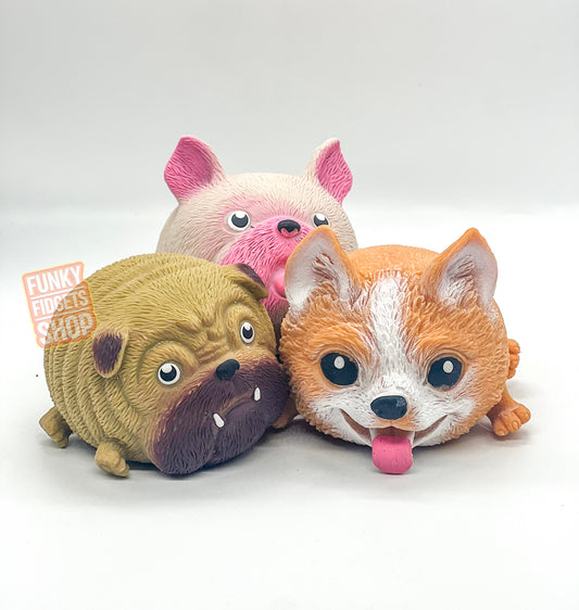 Dog squeezy