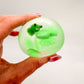Funky Frog Sugar & Jell Mix Squish Ball