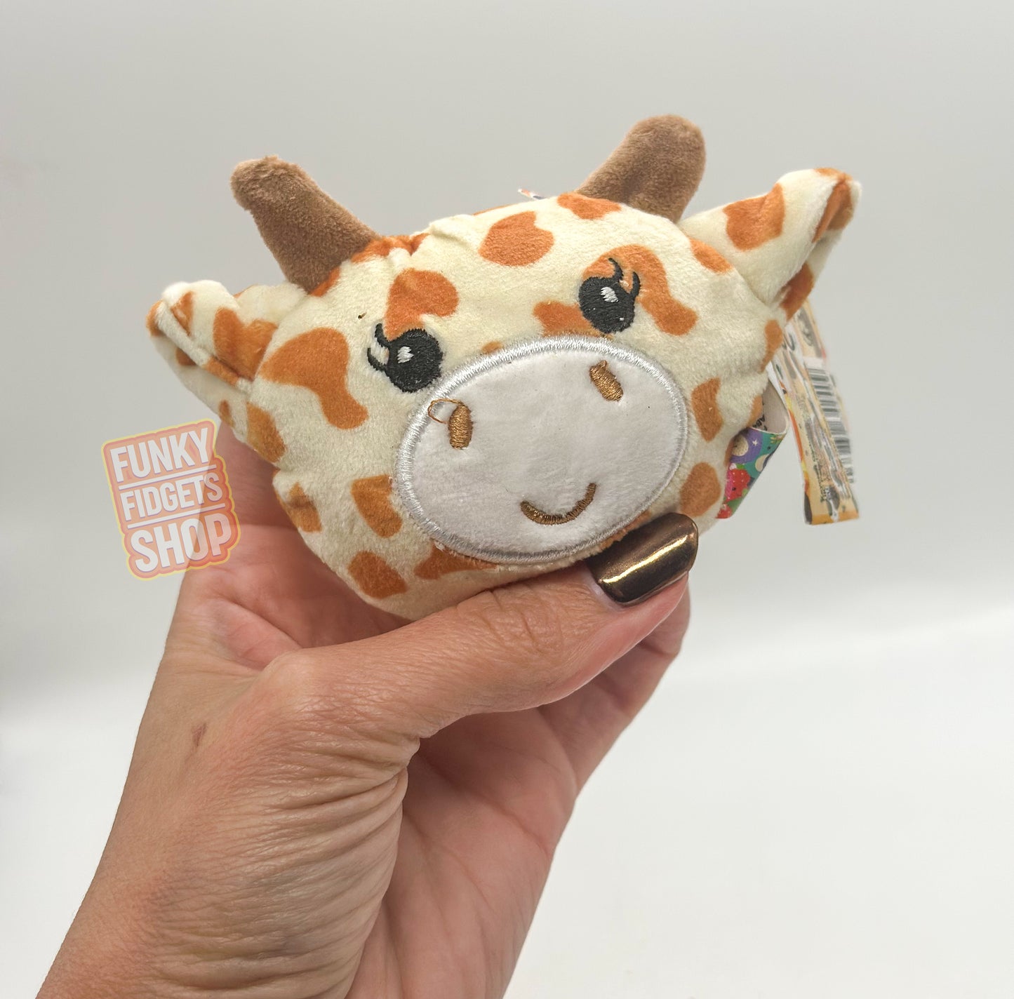 Fruit squishy plushies