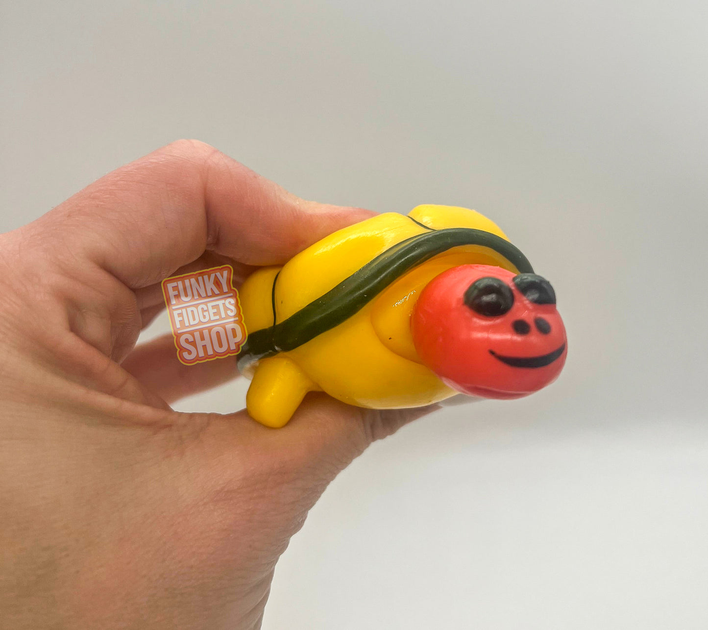 Pop out Turtle