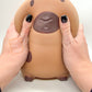 Jumbo Funky Capybara
