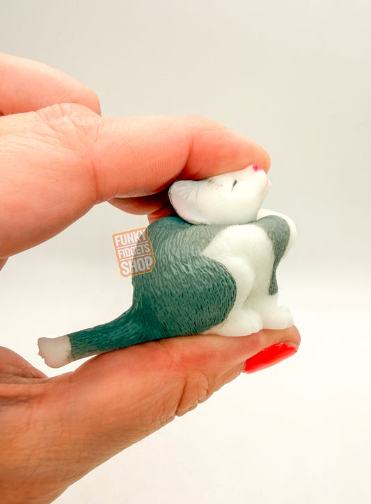 Squeezy Cats