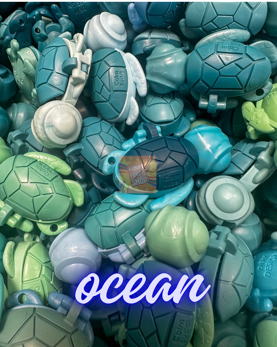 Calm Buddi Turtle – FunkyFidgetsShop