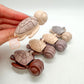 Calm Buddi Turtle