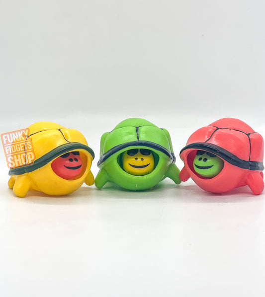 Pop out Turtle