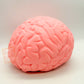 Orb Easy Squeezy Jumbo Brain