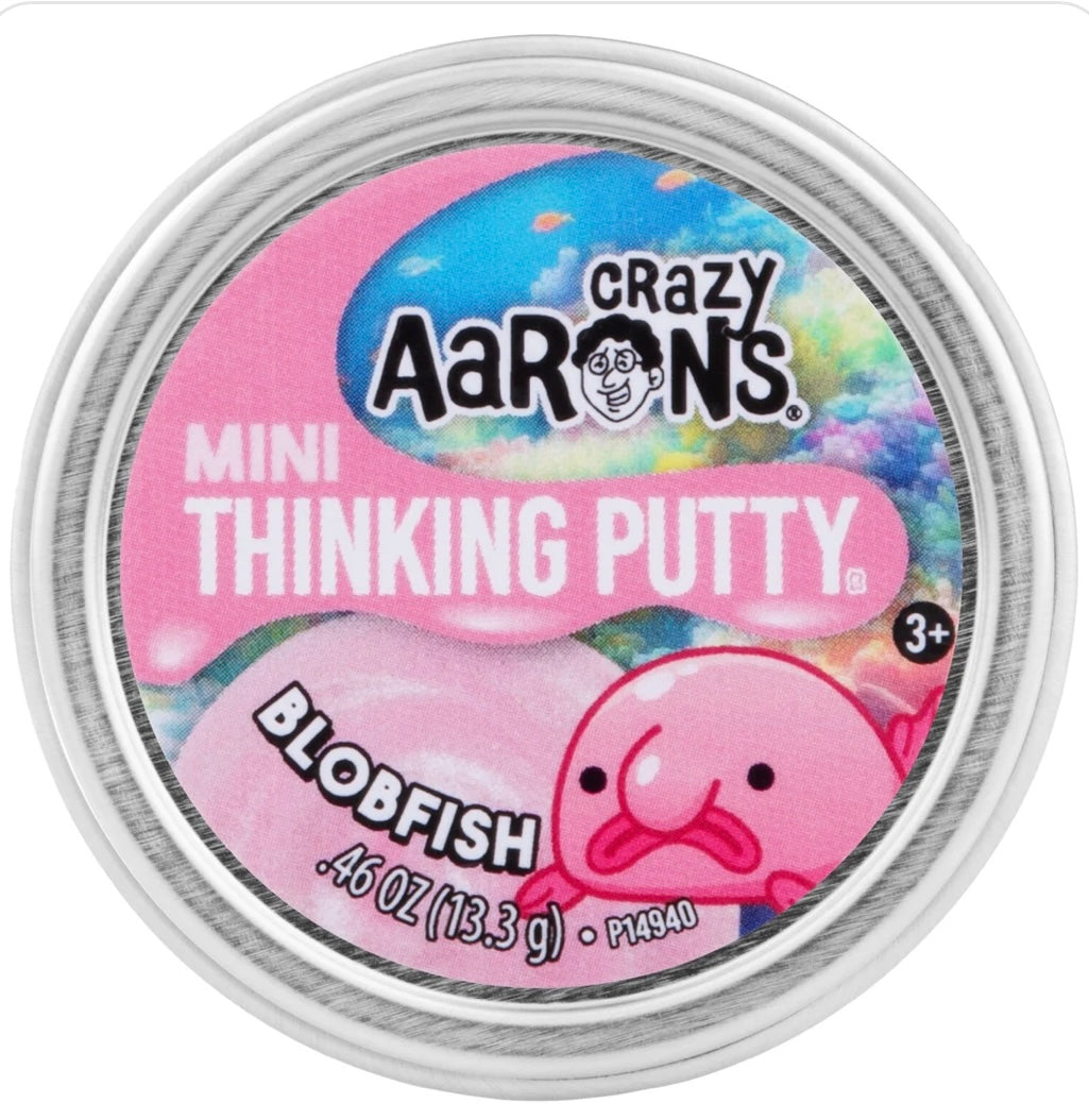 Crazy Aaron’s putty (mini size tins)
