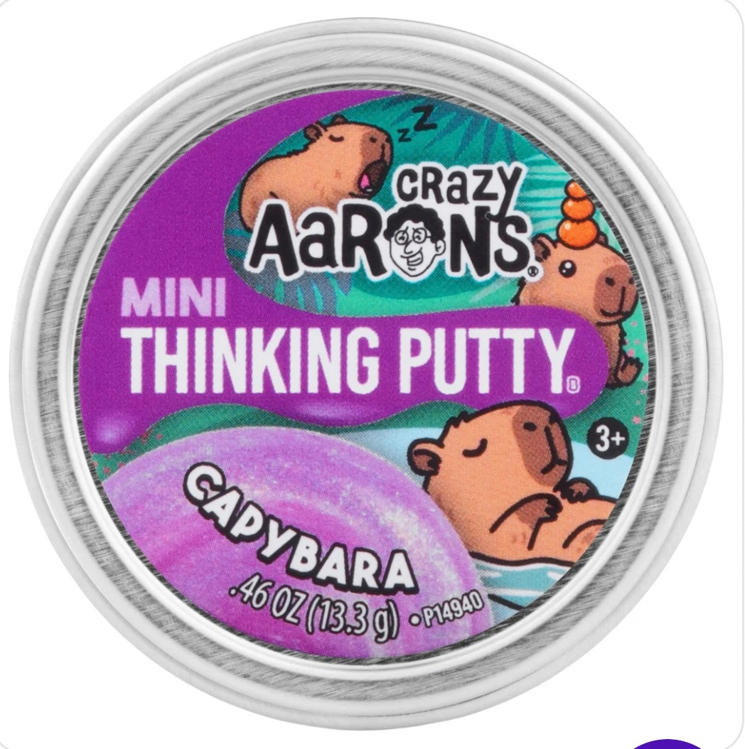 Crazy Aaron’s putty (mini size tins)