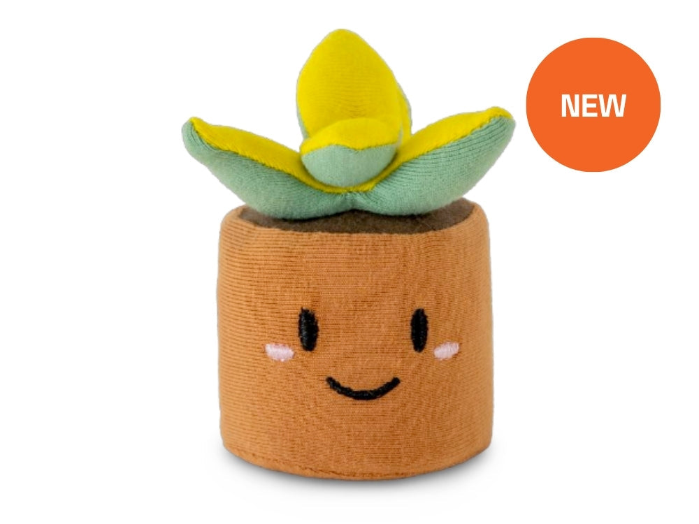 Noomi squeezibo stress ball