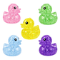 Shimmer Quacker Squishy Blind Bag