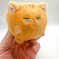 Kenji Mystery bag - Cranky Kitty - Koi Squishy ball