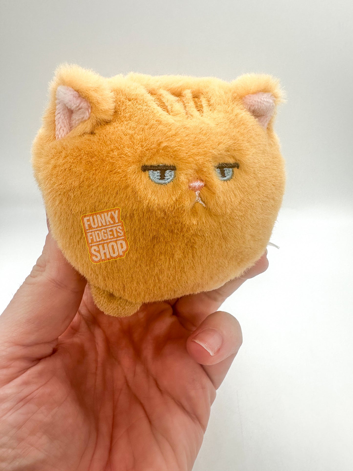 Kenji Mystery bag - Cranky Kitty - Koi Squishy ball