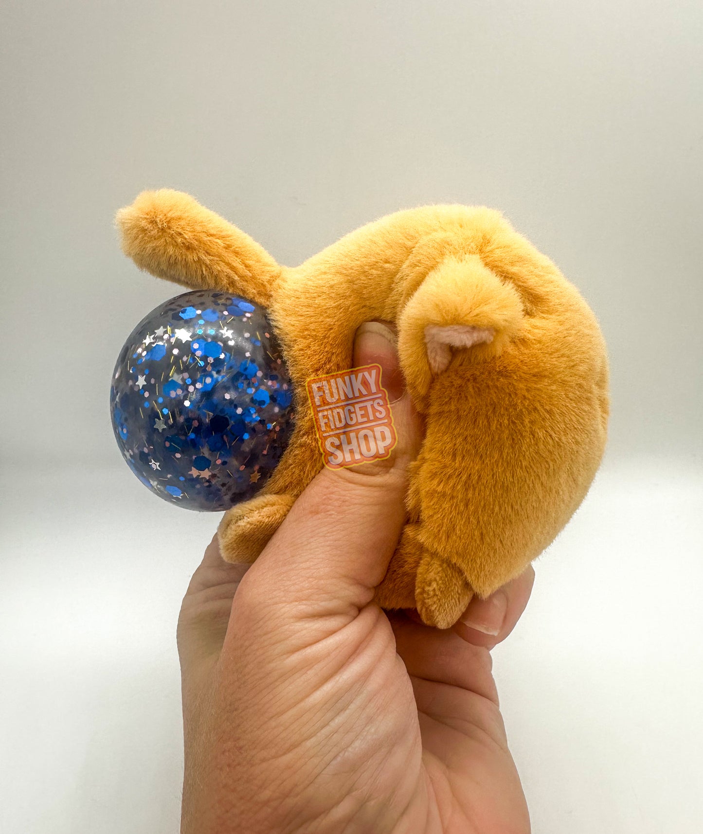 Kenji Mystery bag - Cranky Kitty - Koi Squishy ball