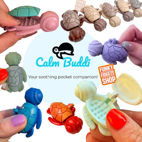 Calm Buddi Turtle