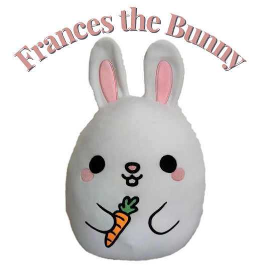 France’s The Bunny squish plush