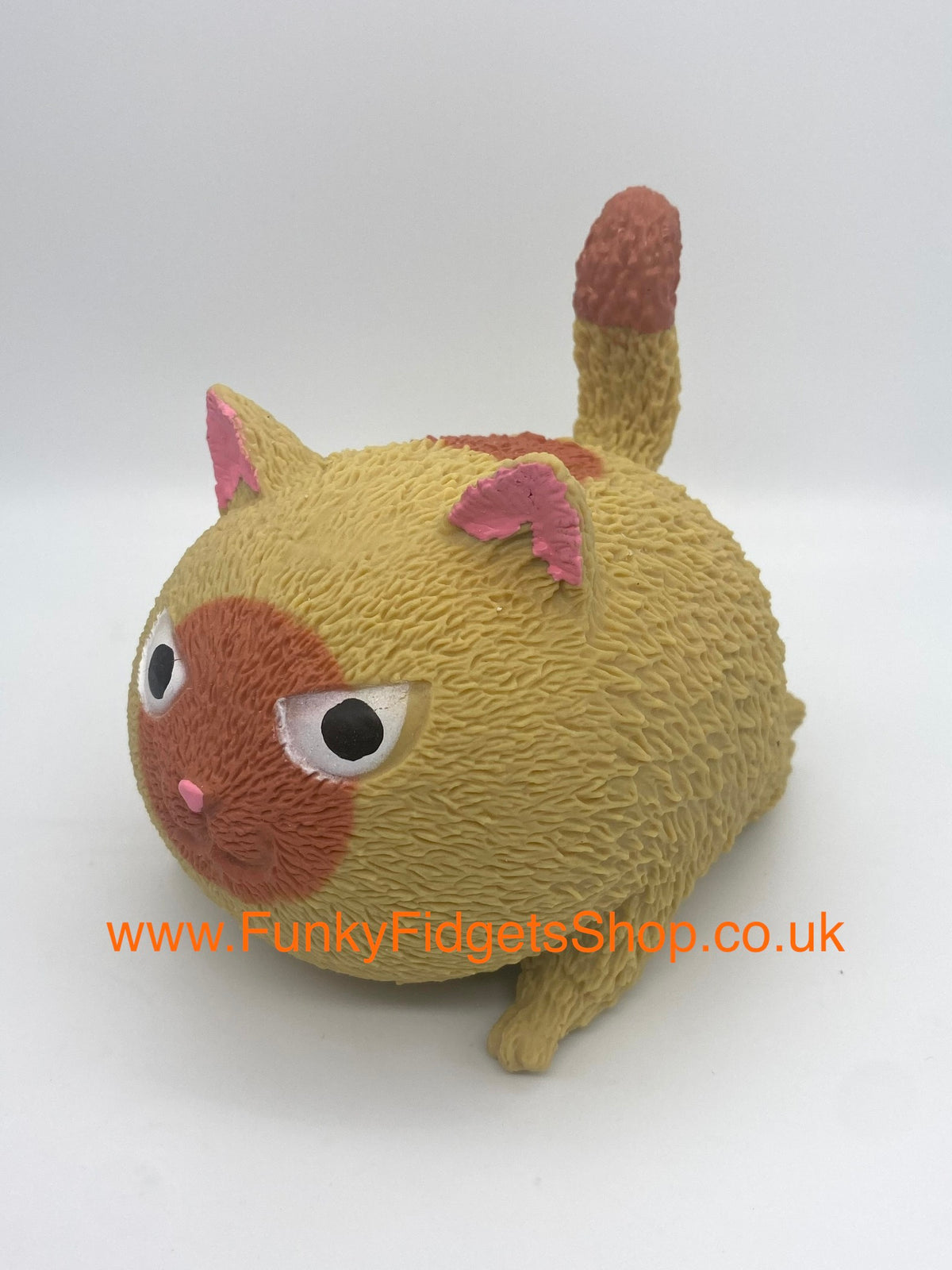 Angry squishy cat