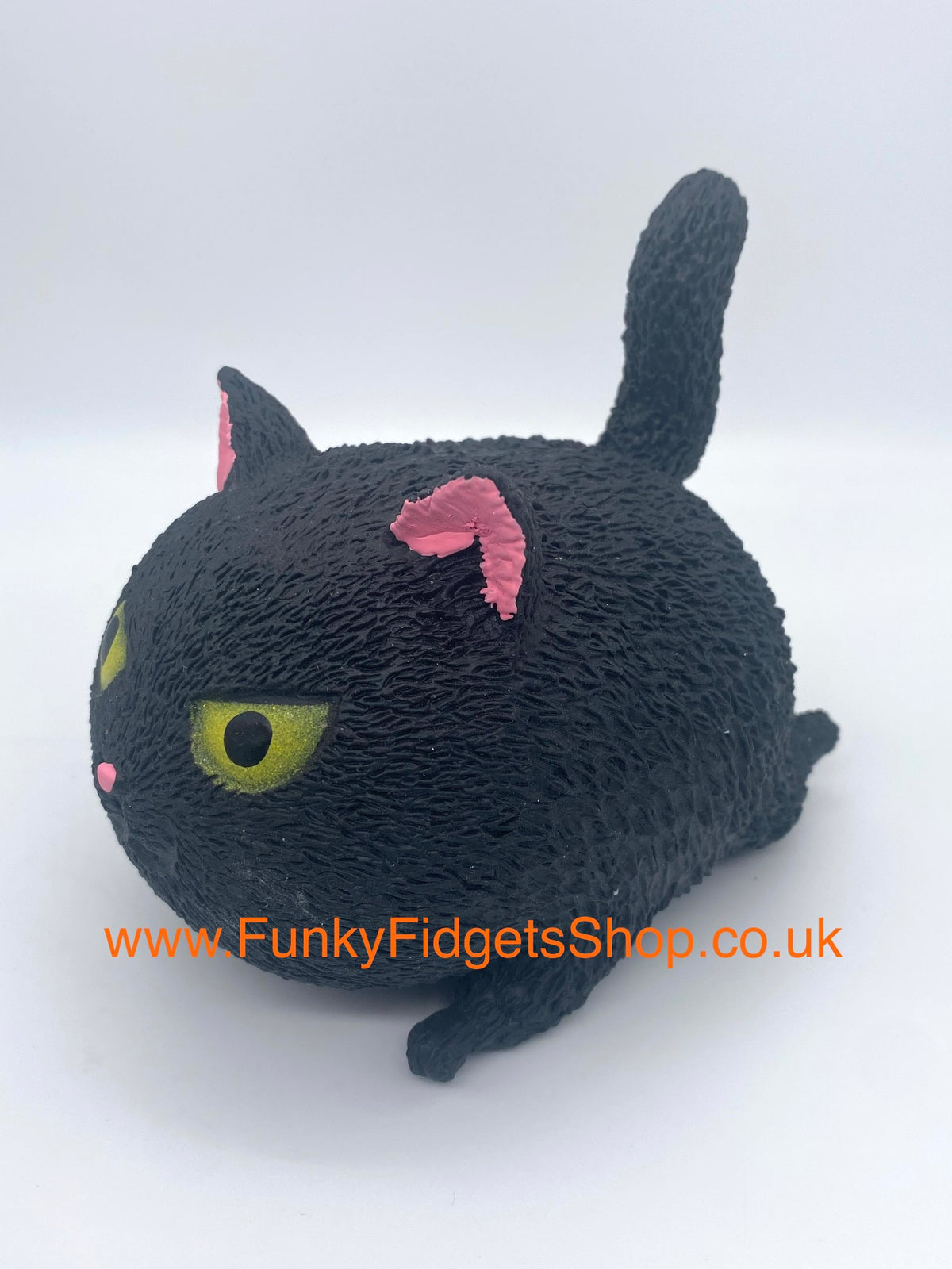 Angry squishy cat