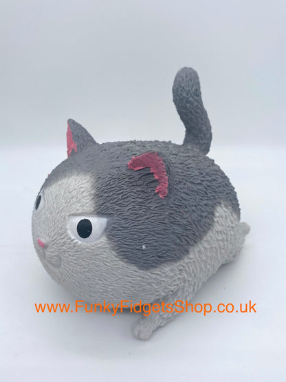 Angry squishy cat