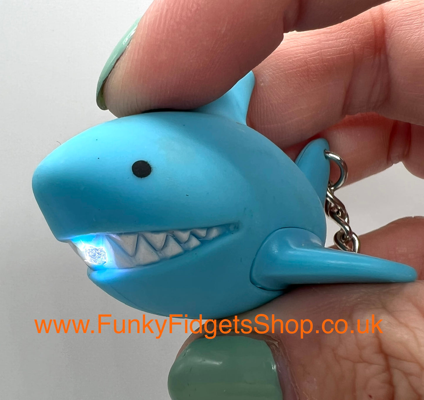 Torch keyring with sound and clicker