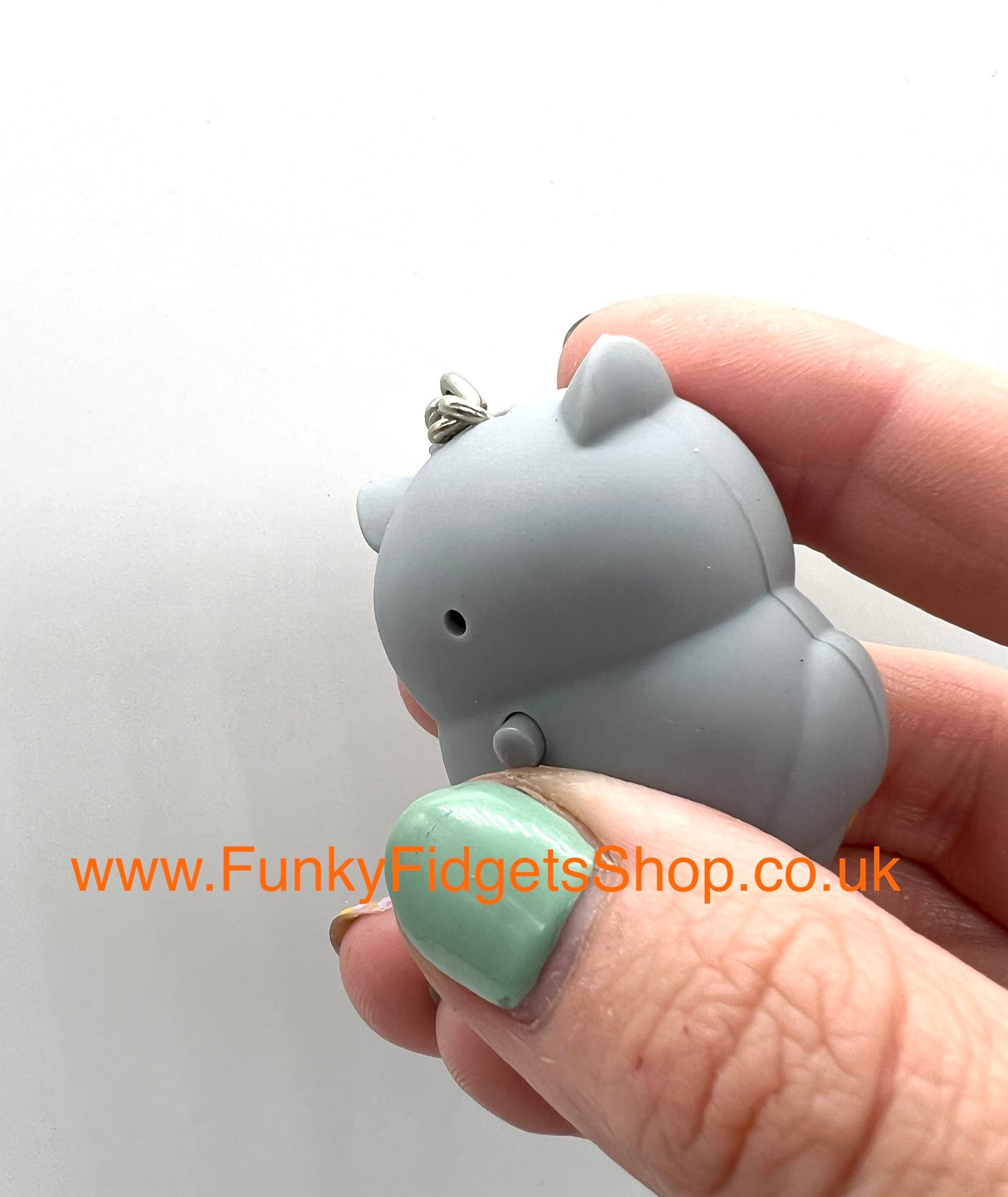 Torch keyring with sound and clicker