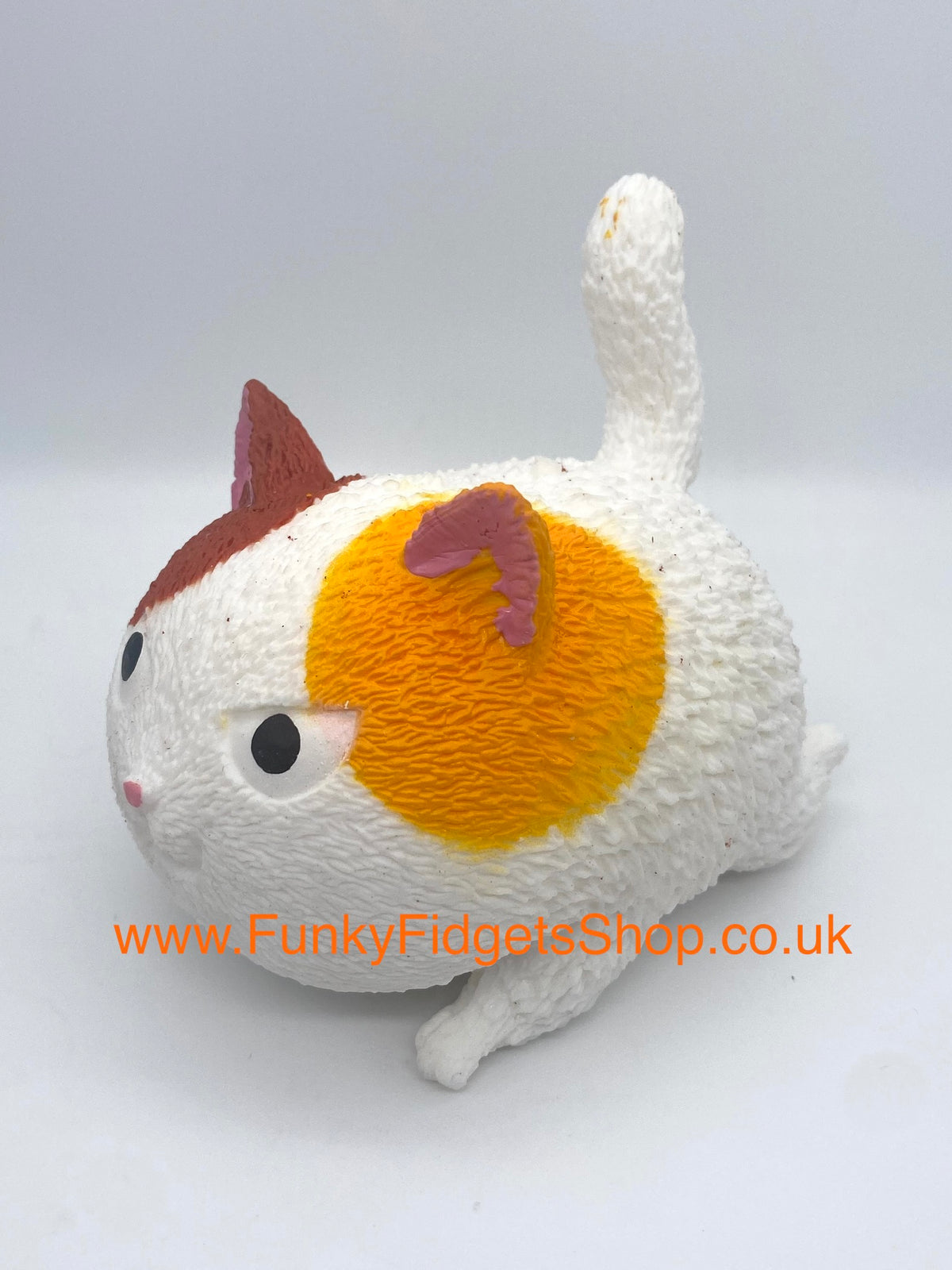 Angry squishy cat